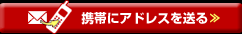 �g�тɃA�h���X�𑗂�