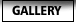 GALLERY - �M�������[ -